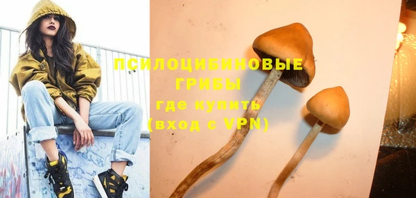 дурь Новокубанск