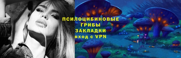 дурь Новокубанск