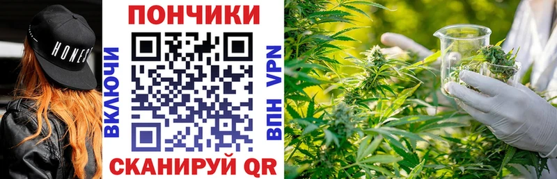 Шишки марихуана Amnesia где можно купить наркотик Берёзовский